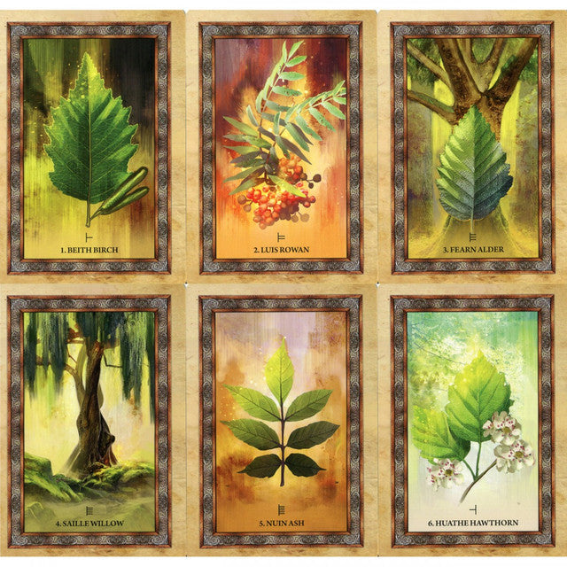 Root into ancient wisdom with the Celtic Tree Oracle Deck, a 25-card journey through the sacred trees of Celtic tradition. Each card reveals the spirit and energy of trees such as Birch, Rowan, Willow, and Hawthorn—guiding you through cycles of growth, intuition, and renewal. Inspired by earth-based spirituality, this beautifully illustrated deck deepens your connection to nature and inner knowing. Ideal for meditation, divination, and seasonal rituals, it invites you to walk the old paths and receive the q