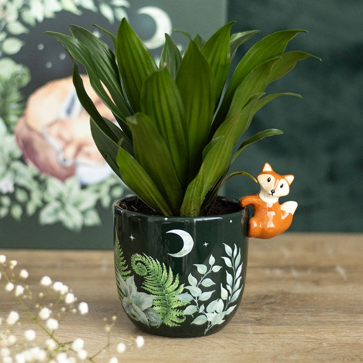 Invite the magic of the woodland into your space with this enchanting ceramic pot, featuring a whimsical 3D fox and intricate forest leaf designs. Perfect for those who cherish nature’s secrets, it’s a bewitching gift for gardeners and plant lovers seeking a touch of mystical charm.