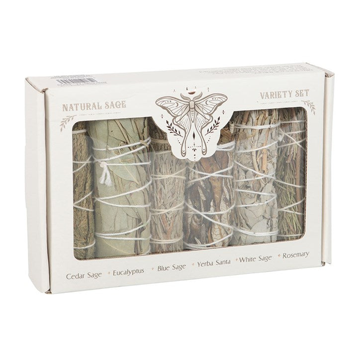 Box of natural sage sticks with labels on a white background
