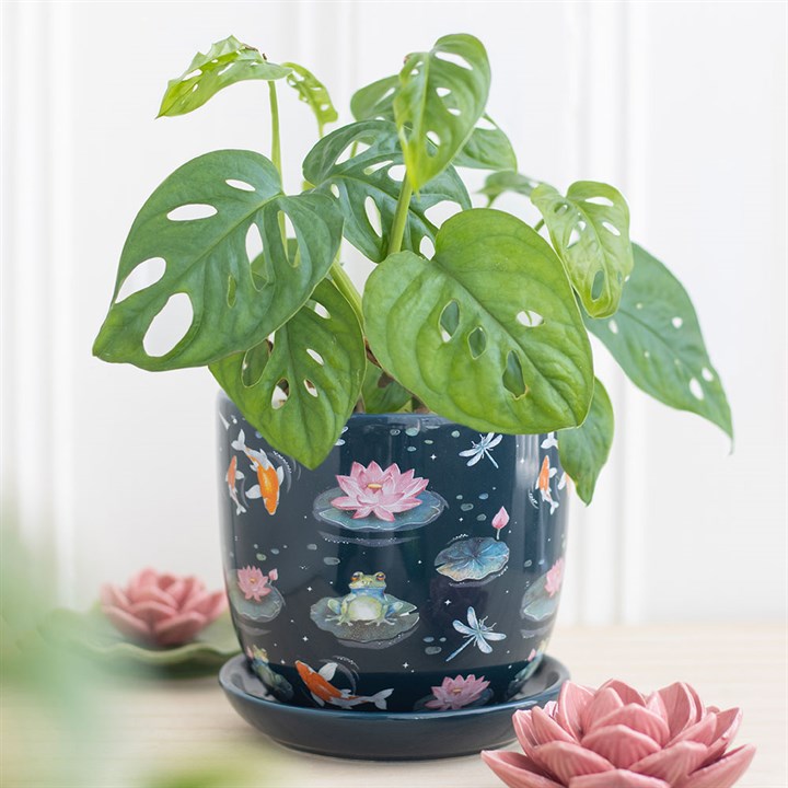 Potted plant with decorative pot featuring water-themed design on a light background