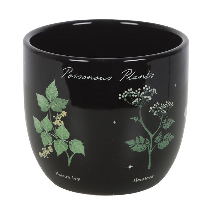 Bring a touch of dark enchantment to your space with this ceramic plant pot, adorned with an alluring array of poisonous plants. Featuring poison ivy, hemlock, deadly nightshade, angel's trumpet, poison oak, wolfsbane, and foxglove, it’s a perfect gift for those who cherish indoor gardens and a captivating addition to any mystical home.