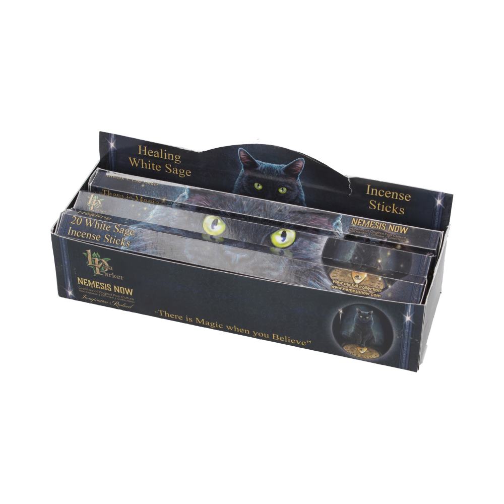 Lisa Parker Healing Incense Sticks – White Sage Scent (1 Tube)