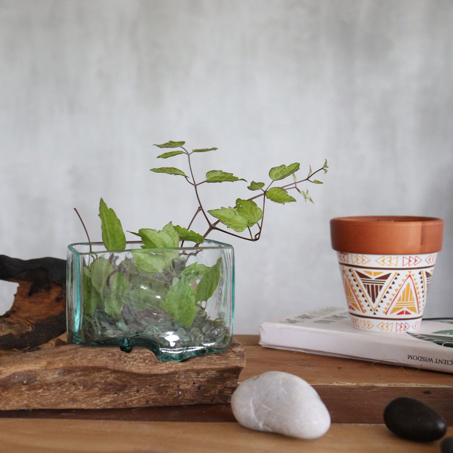 Molten Glass Tank on Wood with Stand – Medium Bowl