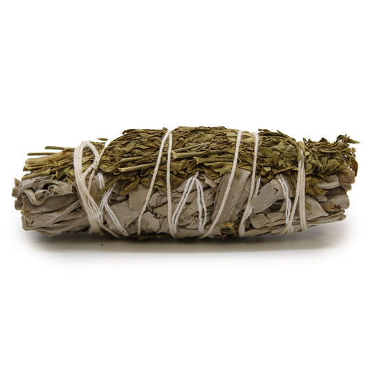 Bundled sage with white string on a white background