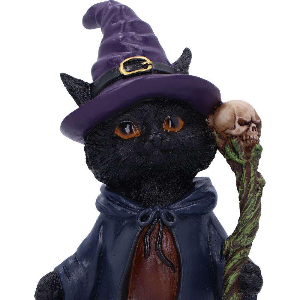Black cat figurine dressed as a witch with a purple hat, brown robe, and staff holding a skull on a white background.