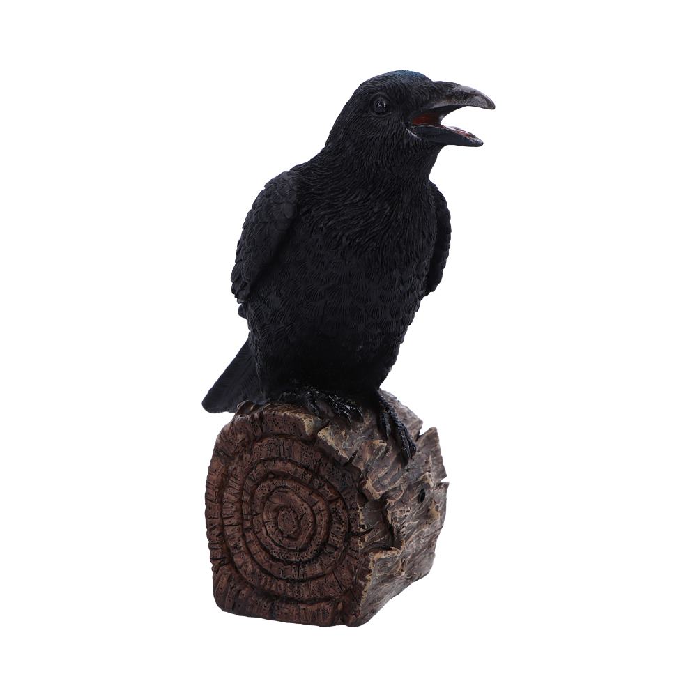 Hush now… do you hear it? The call of the raven echoes through shadowed trees and forgotten graveyards. This 18cm Ravens Cry figurine captures the eerie beauty of this feathered omen, perched solemnly upon a faux-wood log — a sentinel between worlds.
Crafted in high-quality resin and hand-painted with care, every feather is etched with lifelike detail, and the raven’s cold, knowing gaze dares you to listen. With motion-activated sound, this guardian of the veil releases its caw when disturbed — perfect for