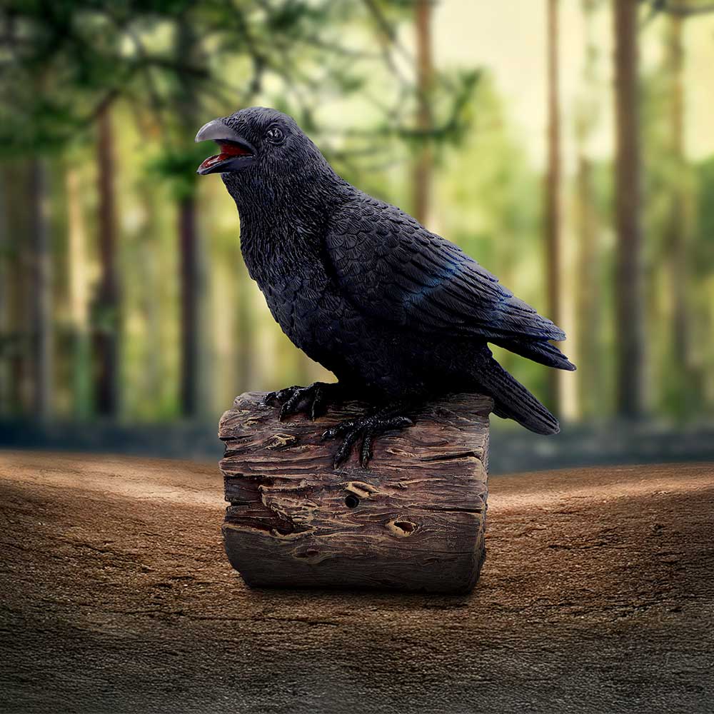 Ravens Cry Figurine with Motion Activated Sound – 18cm
