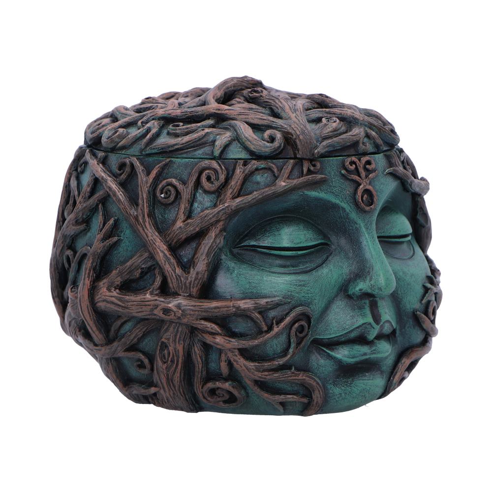 Decorative box with face design and leafy branches on a white background