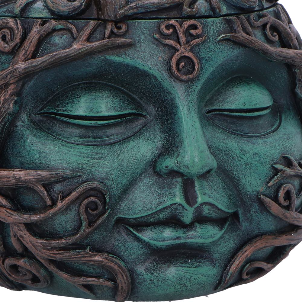 Decorative box with a face design featuring green skin and closed eyes, surrounded by branches.
