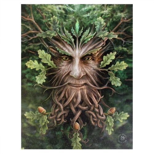 Immerse yourself in the enchanting world of ancient lore with this 19x25cm Oak King Canvas Plaque by renowned fantasy artist Anne Stokes. The artwork captures the majestic Oak King, a symbol of renewal and the eternal cycle of nature, rendered with intricate detail and mystical energy. Perfect for adding a touch of woodland magic to your sacred space or altar, this canvas plaque invites the spirit of the forest into your home. Measuring 25cm high, 19cm wide, and 1.5cm deep, it is ready to display and inspir