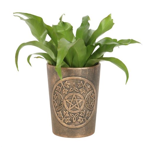 This enchanting Triple Moon Terracotta Bronze Plant Pot features Triple Moon artwork designed by fantasy artist, Lisa Parker. The Triple Moon represents the waxing, full and waning moons which relates to the three stages of life. The plant pot is beautifully detailed and adds a touch of mystical charm to any space. This terracotta plant pot has been finished in an antiqued bronze effect. A perfect gift for nature lovers.