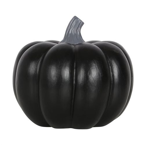Black pumpkin on a white background