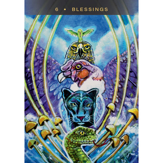 The Sacred Mushroom Oracle Deck – Visionary Medicine Cards