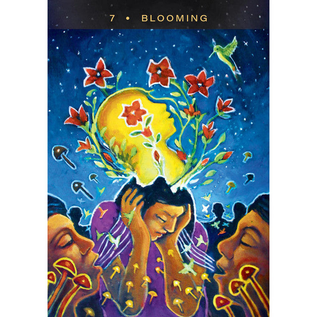 The Sacred Mushroom Oracle Deck – Visionary Medicine Cards
