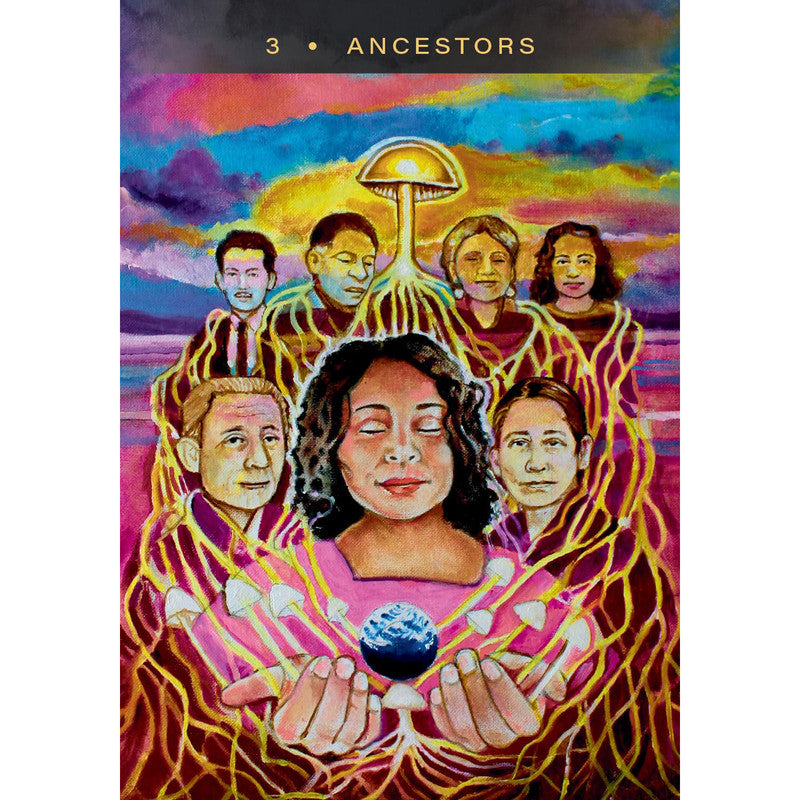 The Sacred Mushroom Oracle Deck – Visionary Medicine Cards