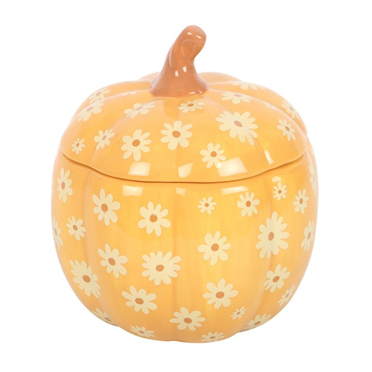 Summon the warmth of autumn into your home with this Groovy Floral Pumpkin Oil Burner. Shaped as a radiant orange pumpkin and adorned with a playful floral pattern, it carries both seasonal charm and a touch of magical whimsy.

Perfect for filling your space with cosy fragrances, this burner blends function with festive spirit. Simply add fragrance oil diluted with water, remove the lid, and let the gentle flame release scents of comfort and enchantment.

Ideal for autumn rituals, Halloween gatherings, or s