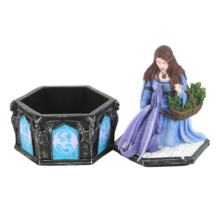 Anne Stokes Solstice Gathering Fairy Statue Box – Fantasy Decor

Official Anne Stokes Solstice Gathering box. Winter fairy & dragon statue design—perfect for fantasy lovers. Magical storage for your treasures.