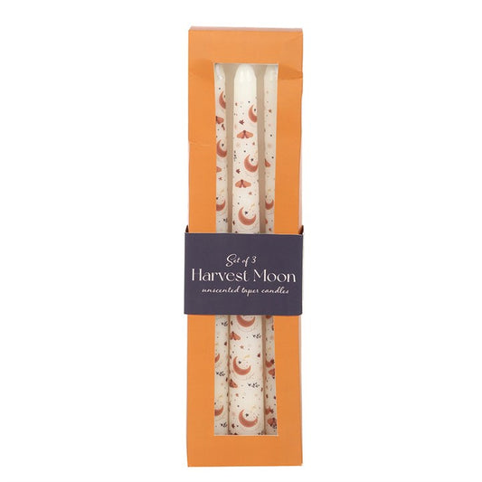 Embrace the turning of the seasons with this Set of 3 Harvest Moon Taper Candles, each flame carrying the golden glow of autumn’s bounty. In folklore, the Harvest Moon was seen as a time of gathering, gratitude, and abundance, when the veil of twilight stretched long and the fields glimmered beneath silver light. To burn these candles is to honor that sacred cycle of reaping what has been sown and giving thanks for the blessings at hand.

Perfect for autumnal feasts, harvest rituals, or quiet evenings of re
