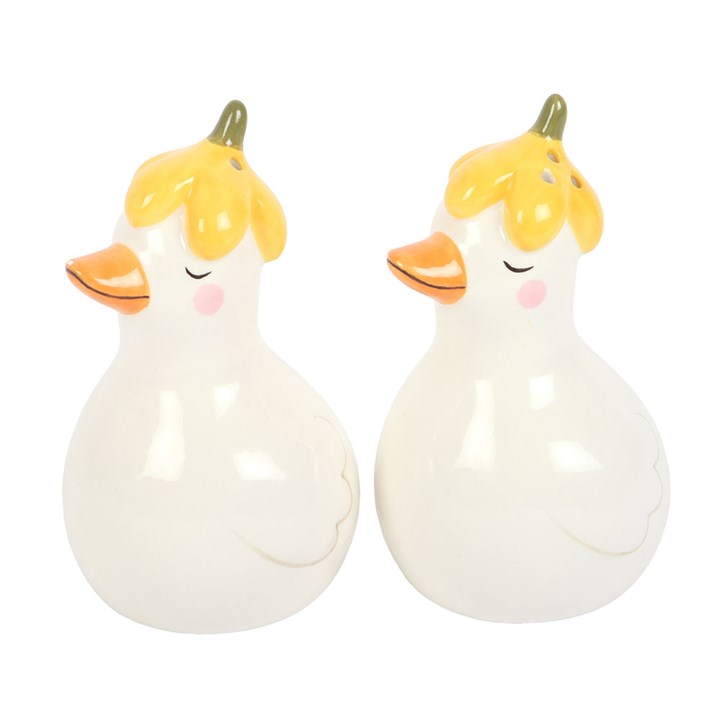 Daisy & Duck Salt and Pepper Shakers – Cute Ceramic Set
