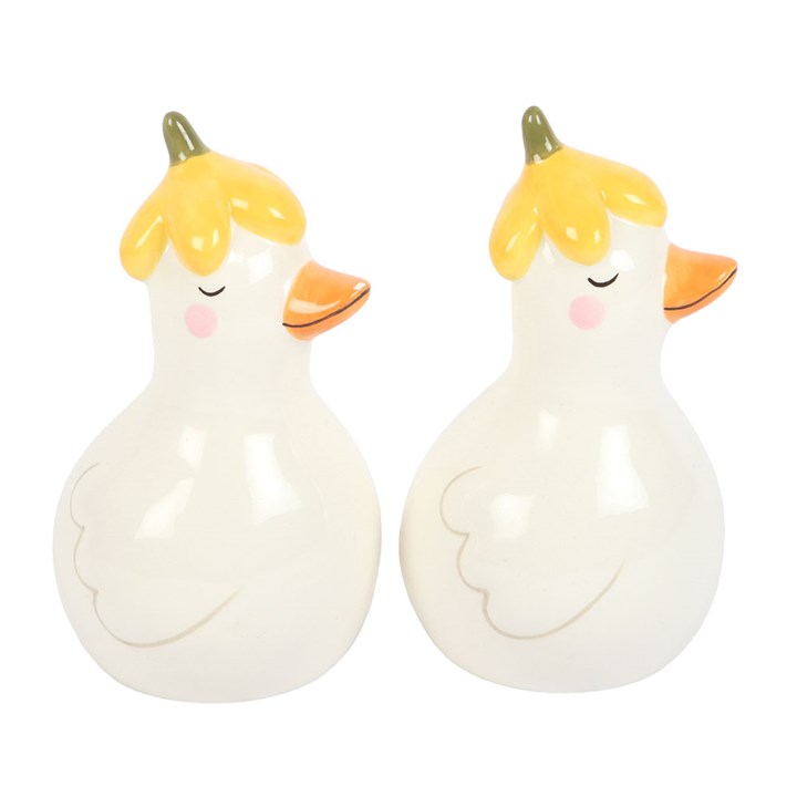 Daisy & Duck Salt and Pepper Shakers – Cute Ceramic Set