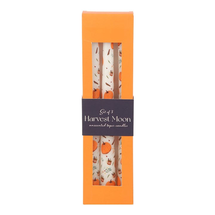 Create a warm and inviting setting with this set of 3 pumpkin print taper candles, perfect for autumnal gatherings or quiet evenings. A lovely gift for those who appreciate seasonal touches in their home. Approx 5 hour burn time.