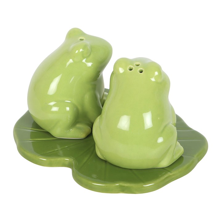 Luna Frog Salt and Pepper Shakers – Cute Ceramic Kitchen Set