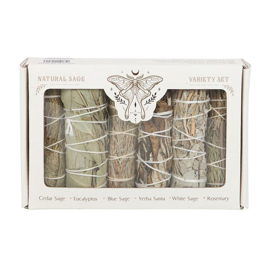Box of natural sage sticks with various types of sage on a white background