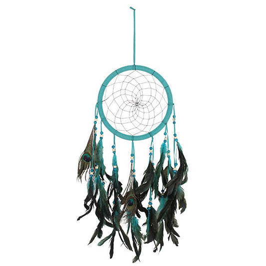 The dreamcatcher is more than just an ornament — it is a sacred shield woven to guard the spirit. In the tradition of the Ojibwe people, dreamcatchers were hung above the resting place to catch wandering dreams. The web allows the good to pass gently through, while the bad dreams become snared in the strands and vanish with the first light of dawn.

This Turquoise Peacock Feather Dreamcatcher carries the medicine of two powerful symbols. Turquoise, the stone of sky and water, is honored as a sacred stone of