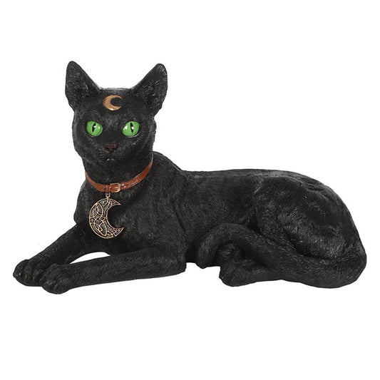 “Every witch needs a familiar to guard the hearth, whisper secrets of the unseen, and walk gracefully between worlds.”

This enchanting Laying Black Cat Figurine rests in quiet watchfulness, its piercing green eyes gleaming with mystery. Around its neck lies a crescent moon charm, a powerful symbol of intuition, hidden knowledge, and the cycles of magic.

In folklore, the black cat has long been revered as the witch’s most trusted companion. Once feared in medieval times as bringers of bad luck, they were a