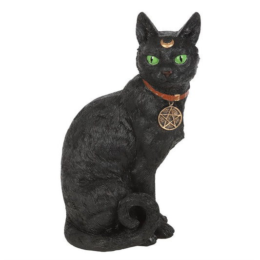 “A witch’s loyal companion watches and guides, bridging the seen and unseen with quiet power.”

This Sitting Black Cat Figurine sits in poised vigilance, its luminous green eyes full of ancient secrets. Around its neck rests a pentacle charm, symbolizing protection, balance, and the harmony of the elements in magical practice.

In witchcraft lore, black cats are sacred familiars, guardians of the home and protectors of the spellcaster’s energy. Historically misunderstood as omens of misfortune, they were al