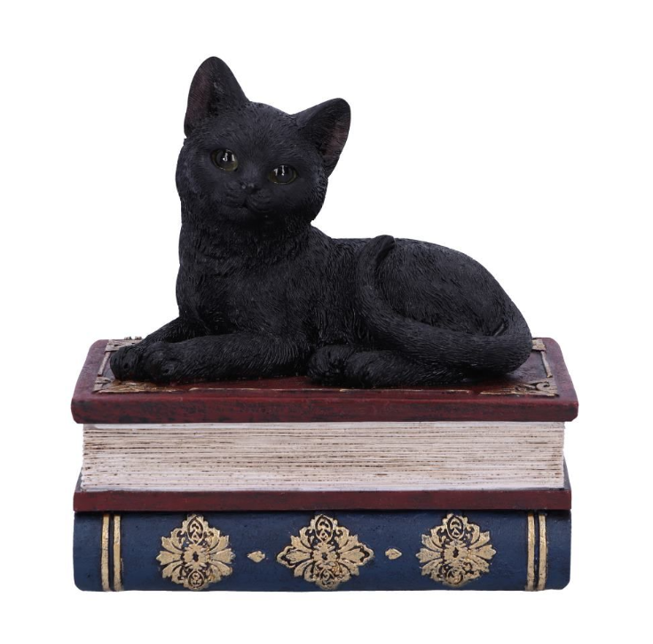 Salem’s Spells black cat and spellbook box, 11.7cm. Hand-painted resin witch’s familiar, perfect for altars, trinkets, and gothic décor.