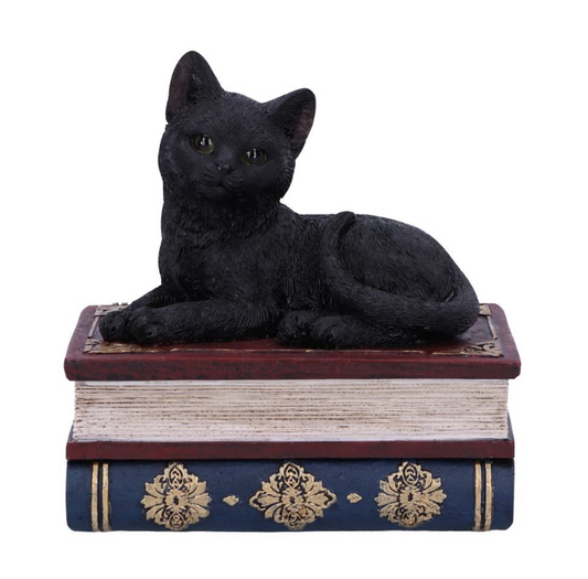 Salem’s Spells black cat and spellbook box, 11.7cm. Hand-painted resin witch’s familiar, perfect for altars, trinkets, and gothic décor.