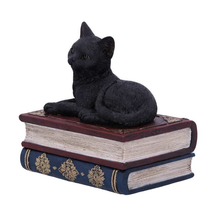 Salem’s Spells black cat and spellbook box, 11.7cm. Hand-painted resin witch’s familiar, perfect for altars, trinkets, and gothic décor.