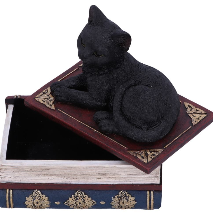 Salem’s Spells black cat and spellbook box, 11.7cm. Hand-painted resin witch’s familiar, perfect for altars, trinkets, and gothic décor.