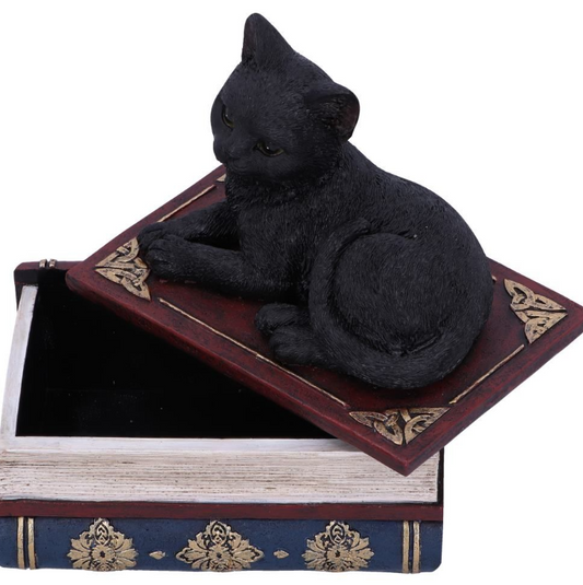 Salem’s Spells black cat and spellbook box, 11.7cm. Hand-painted resin witch’s familiar, perfect for altars, trinkets, and gothic décor.