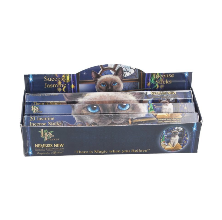 Lisa Parker Jasmine Scented Success Incense Sticks – Bewitched Artwork