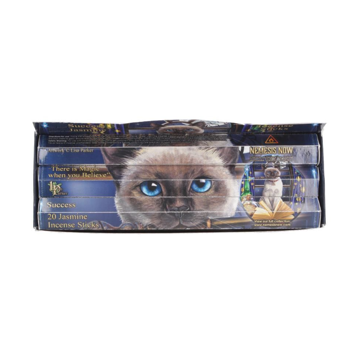 Lisa Parker Jasmine Scented Success Incense Sticks – Bewitched Artwork