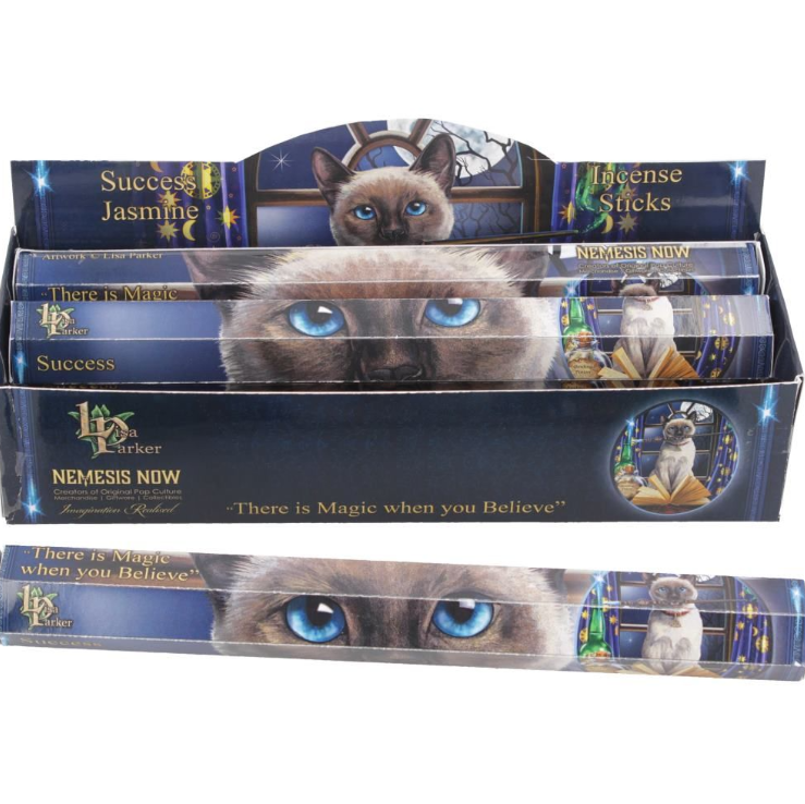Lisa Parker jasmine scented success incense sticks featuring Bewitched artwork. Ideal for manifestation, rituals, meditation, and spellwork.