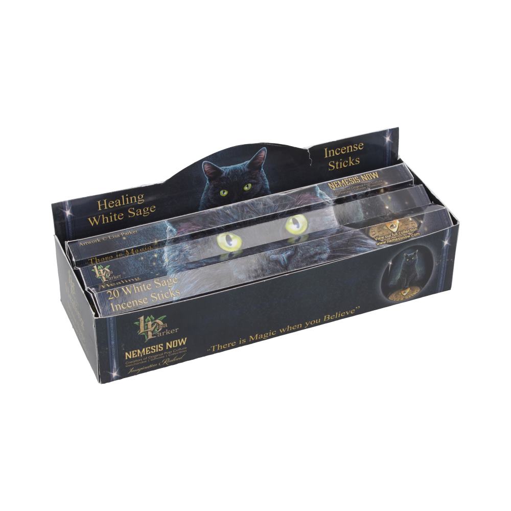 Lisa Parker Healing Incense Sticks – White Sage Scent (1 Tube)