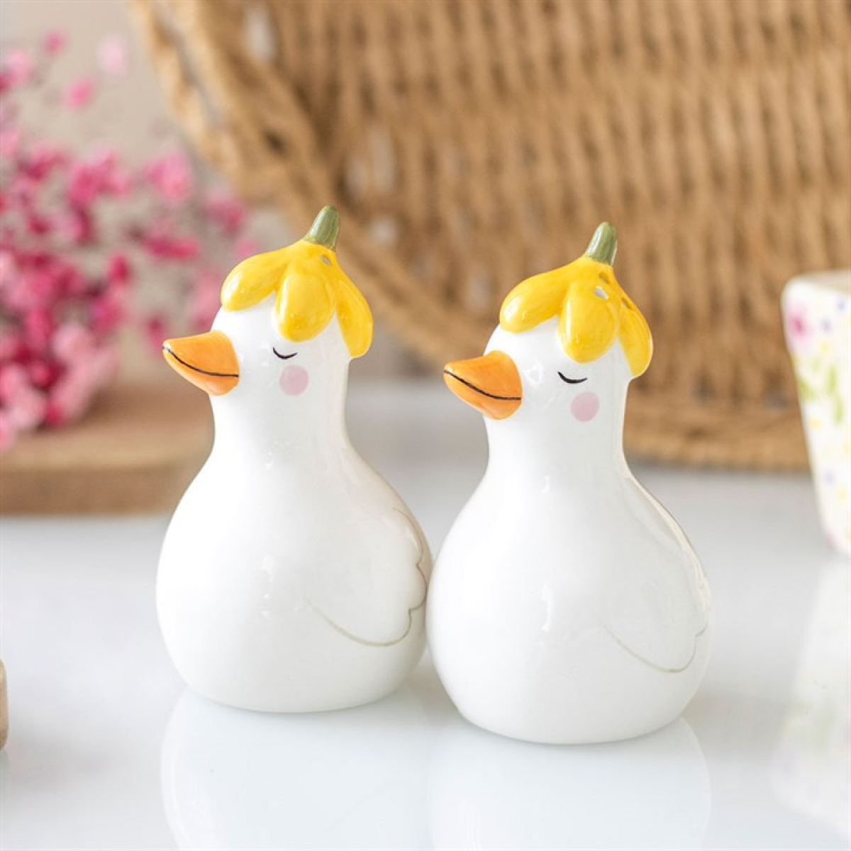 Daisy & Duck Salt and Pepper Shakers – Cute Ceramic Set
