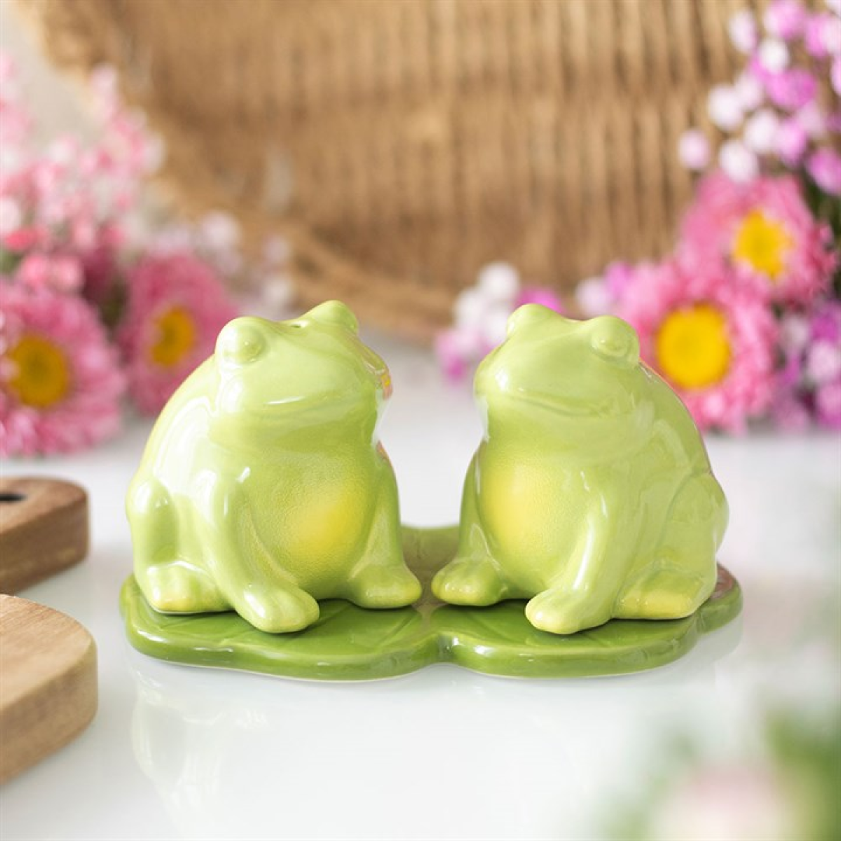 Luna Frog Salt and Pepper Shakers – Cute Ceramic Kitchen Set