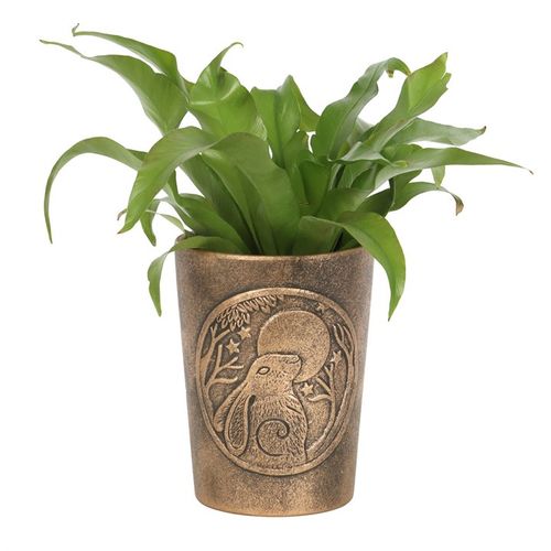 This captivating Terracotta Bronze Plant Pot showcases the Moon Gazing Hare design by renowned fantasy artist Lisa Parker. The mystical hare, gazing at the moon, symbolizes rebirth and resurrection, themes deeply rooted in pagan tradition. Finished with an antiqued bronze effect, this pot is richly detailed, bringing an enchanting, magical aura to your home or garden. An ideal gift for those who cherish nature and the mysteries of the night.