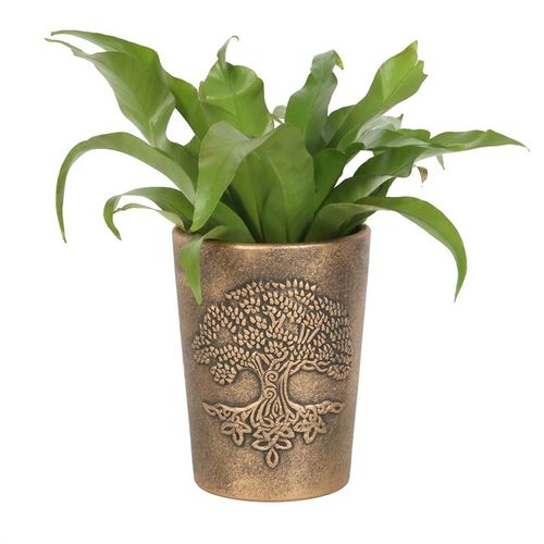 This enchanting Tree of Life Terracotta Bronze Plant Pot features Tree of Life artwork designed by fantasy artist, Lisa Parker. The Tree of Life is a spiritual symbol found in various cultures around the world. It commonly represents growth, rebirth and the sacred connection between worlds. The plant pot is beautifully detailed and adds a touch of mystical charm to any space. This terracotta plant pot has been finished in an antiqued bronze effect. A perfect gift for nature lovers.
