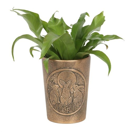This enchanting Terracotta Bronze Plant Pot features Moon Shadows artwork designed by fantasy artist, Lisa Parker. The striking motif of three moon-gazing hares is commonly used to represent fertility and growth. The plant pot is beautifully detailed and adds a touch of mystical charm to any space. This terracotta plant pot has been finished in an antiqued bronze effect. A perfect gift for nature lovers.
