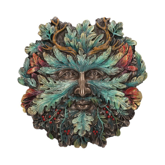 The term ‘Tree Spirit’ can cover all kinds of mystical forest dwellers, including Green Men and Tree Ents. They are ancient and wise, offering healing magic, wisdom and insight. A tree spirit is a type of nature spirit, and essentially the living soul of a tree. It has much in the way of wisdom and healing to offer those who are willing to listen and absorb.